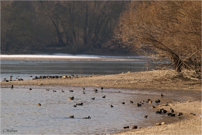 Klicken für Bild in voller Größe