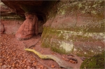 Altschlossfelsen_b.jpg