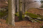 Am_Otterfelsen1.JPG