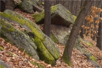 Bergstein1.jpg