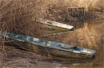 Boote_am_Schilf.JPG