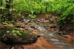 Kaltenbrunner_Tal019a.JPG