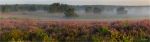Mehlinger_Heide_pano.JPG