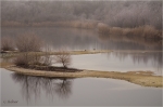 Mussbacher_Baggerweiher_018c.JPG